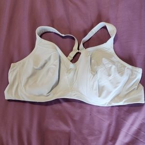 Torrid Active bra